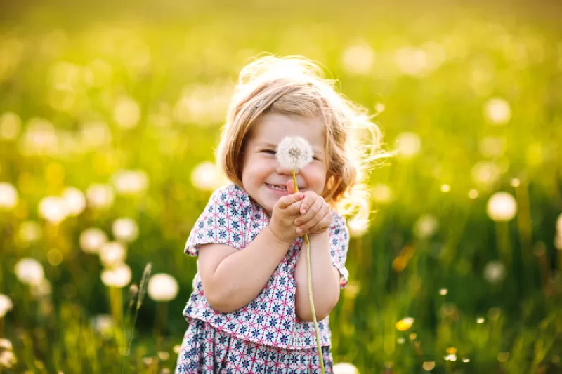 A child smiling in a field with a dandelion